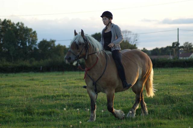 Journal d'une blonde : Quininne et Anthéa Dsc04297-344ff2d
